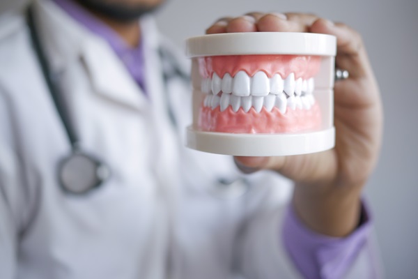 doctor hand holding plastic dental teeth model on table