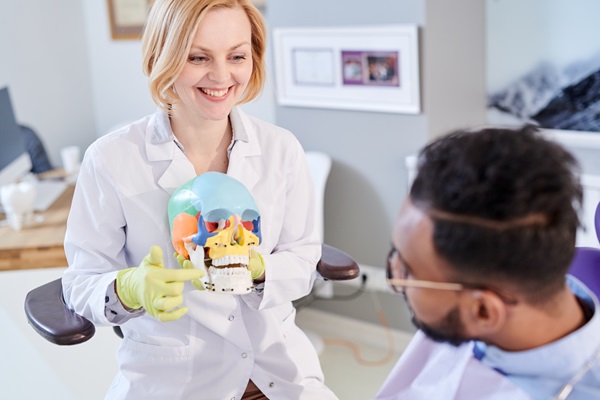 Female Dentist Explaining Teeth Structure