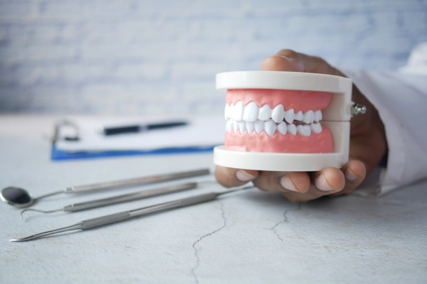 doctor hand holding plastic dental teeth model on table